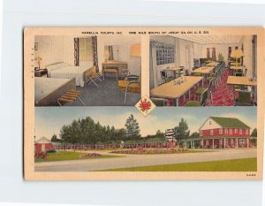 Postcard Camellia Courts Inc.  One Mile South of Jesup Georgia USA