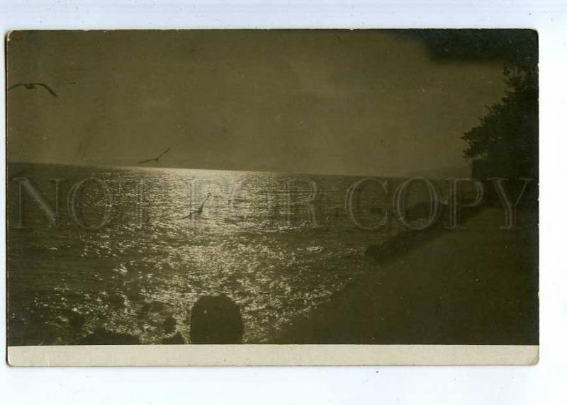 225493 ESTONIA Baltic Sea coast Gungerburg photo postcard