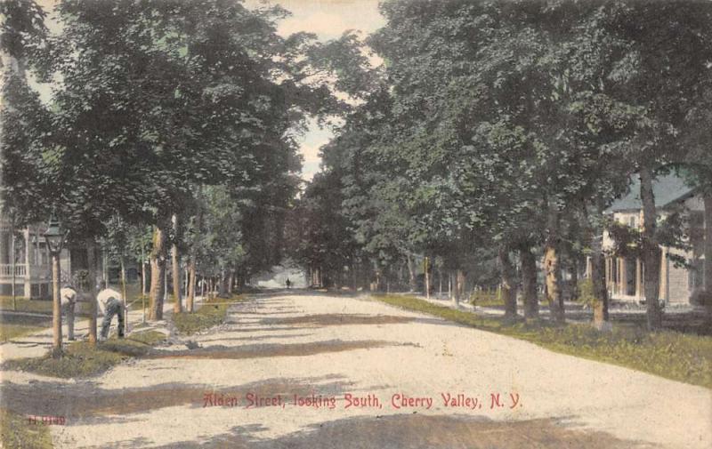 Cherry Valley New York Alden Street Looking South Antique Postcard J49659