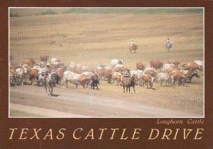 Texas Cattle Drive Longhorn Cattle 1998