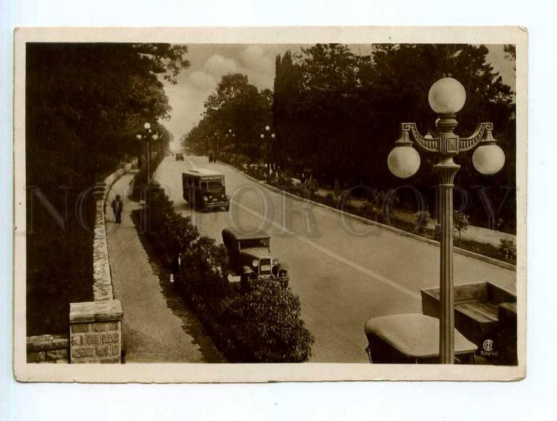 250352 USSR Sochi Stalin avenue BUSES photo Helmer 1937 year