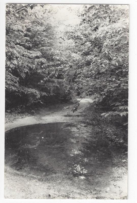 Landscape RPPC Wooded Scene pool at end of road Real Photo Postcard Kodak