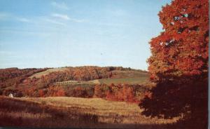 Autumn View in the Bristol Hills - Bristol Springs NY, New York