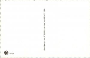 Alfred Mainzer Anthropomorphic Dressed Cats Hospital Visit 4879 Postcard