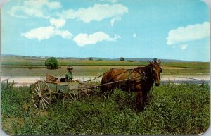 Pennsylvania Amish Country Typical Rural Scene Young Amish Boy Horse and Wagon