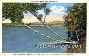 The Fisherman's Paradise - Lake Winnipesaukee, New Hampshire NH Postcard