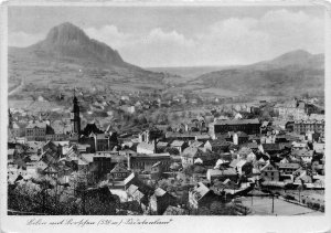 BT2951 Silin Sillehnen poland