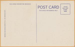 Joshua Palms in the Desert - 