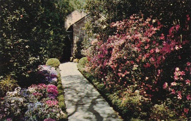 Alabama Mobile Azalea Lined Path At Bellingrath Gardens