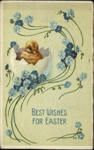 Easter Chick Hatched Egg Blue Flowers Embossed c1910 Post...