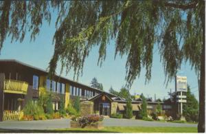 Port Augusta Motel, Comox, BC.Vancouver Island, Canada Postcard