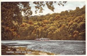 SHARPHAM WOODS DEVON UK BOAT ON RIVER DART POSTCARD