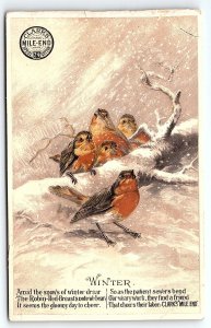 c1880 CLARK'S MILE-END SPOOL COTTON THOMAS RESSELL WINTER BIRDS TRADE CARD P1962