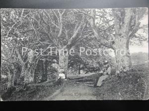 c1905 - Lovers Walk, Rothesay - showing two women reading books