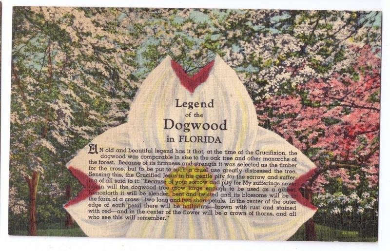 Legend of the Dogwood in Florida FL Vintage Linen