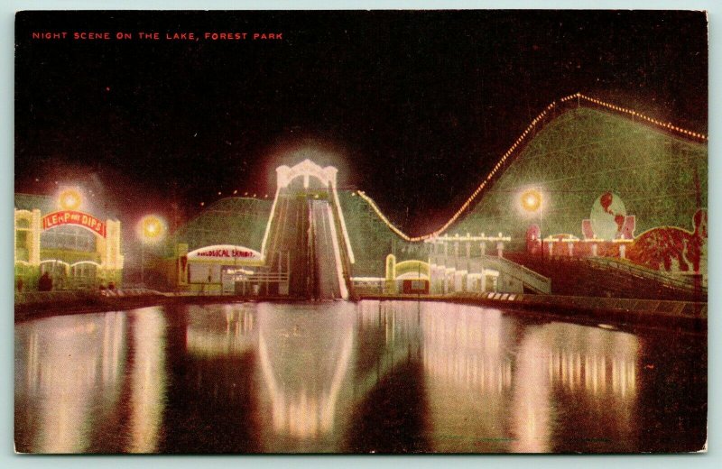 Forest Park Chicago Illinois~Amusement Park Night Lights~Leaps & Dips~VO Hammon 