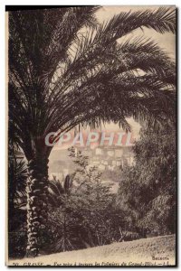 Old Postcard Grasse View socket through the palm trees of the Grand Hotel