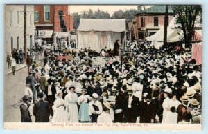 BEARDSTOWN, IL Ilinois ~ CROWD at Annual FISH FRY~  c1910s Cass County Postcard