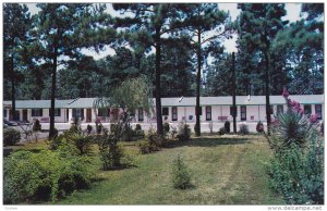 Hunt's Motel, ROCKY MOUNT, North Carolina, 40-60´