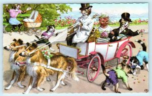 Mainzer Dressed Cats WEDDING CARRIAGE  Bride & Groom #4920 Belgium Postcard