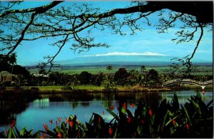 Vintage Postcard Mauna Kea Volcano Hilo Lagoon Liliuokalani Park Hawaii JL9