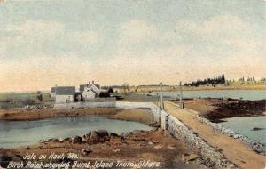 Isle Au Haut Maine Birch Point Burnt Island Bridge Antique Postcard K13316