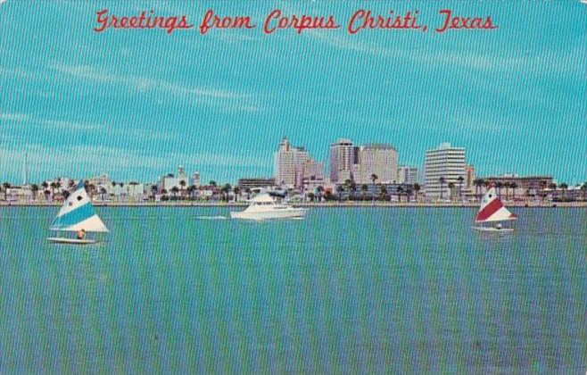 Texas Corpus Christi Sunfish Sailboats In Corpus Christi Bay