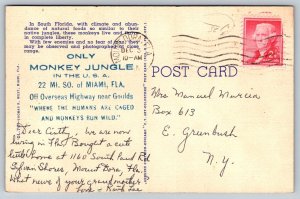 1954  The Monkey Jungle   Miami  Florida  Postcard