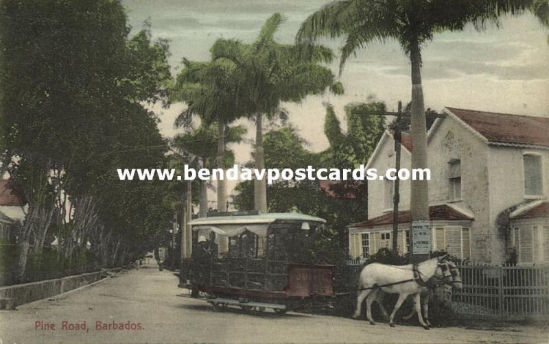 barbados, B.W.I., BRIDGETOWN, Pine Road, Horse Tram (1910s) 