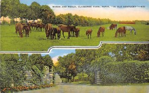 Claiborne Farm Paris Kentucky Postcard