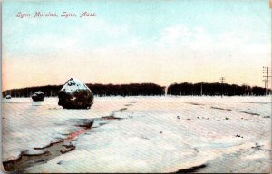 View of Lynn Marshes in Winter, Snow, Lynn MA  Vintage Postcard S18