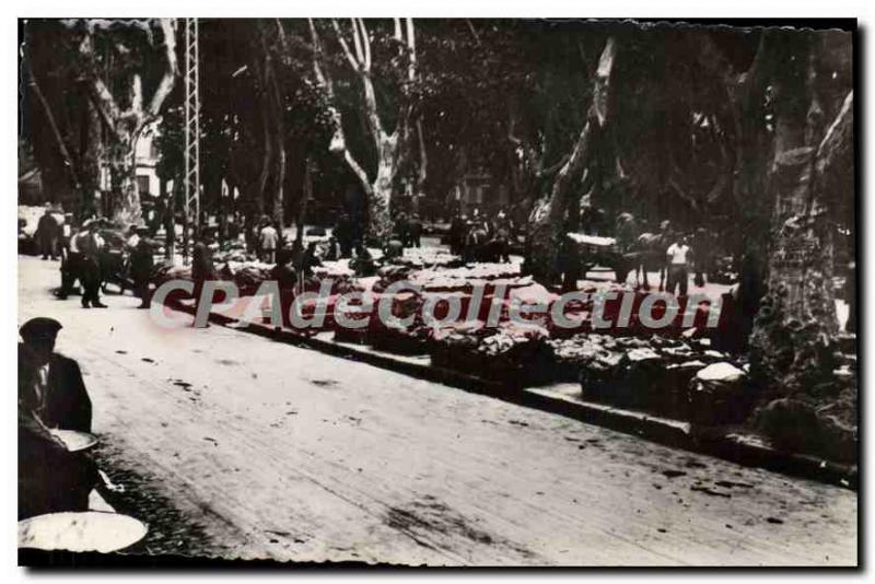Old Postcard Cavaillon melons In March