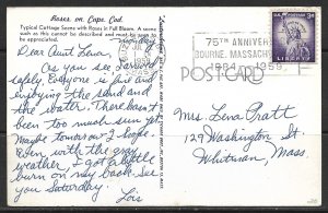 Massachusetts, Cape Cod - Cottage & Roses in Full Bloom - [MA-050]