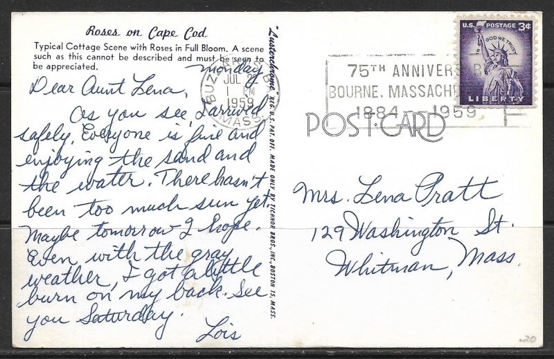 Massachusetts, Cape Cod - Cottage & Roses in Full Bloom - [MA-050]