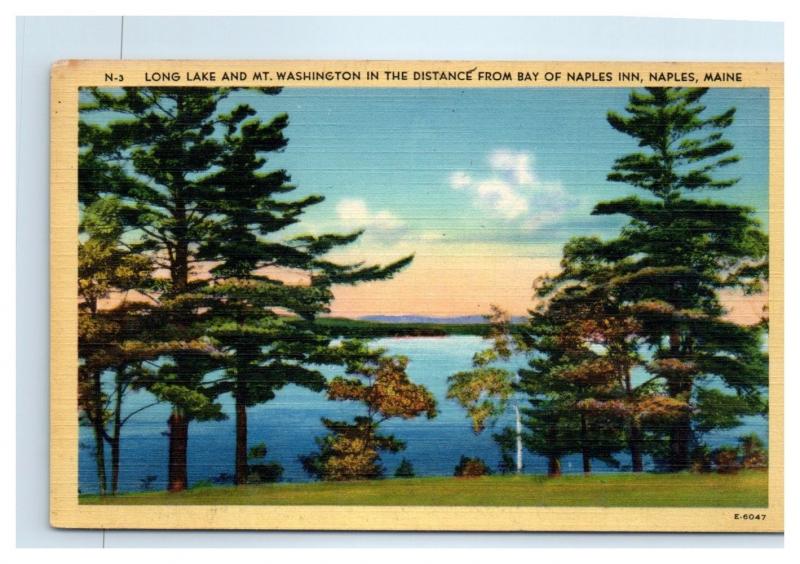 Mid-1900s Long Lake and Mt. Washington from Bay of Naples Inn, Maine Postcard