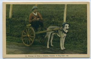 Dog Cart Quebec Canada postcard