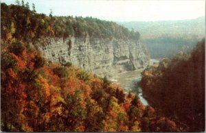 Letchworth State Park Castile New York NY Autumn Scene Postcard VTG UNP Vintage  