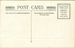 Vtg 1910 Happy Birthday Poinsettia December Unused Embossed Greetings Postcard