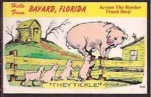 FL Bayard Across the Border Truck Stop 1967