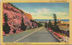 Along The Palisades on US Highway California Linen Postcard C186