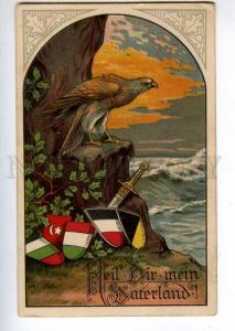213973 WWI GERMAN ALIES Shield TURKEY Eagle Vintage postcard