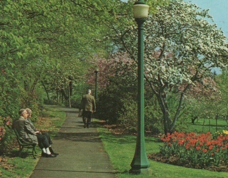 Maplewood New Jersey NJ Ward Homestead flowers people bench postcard F607 