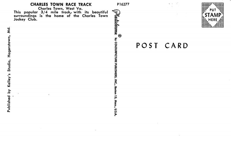 Horse Race Racing Track Charles Town West Virginia postcard