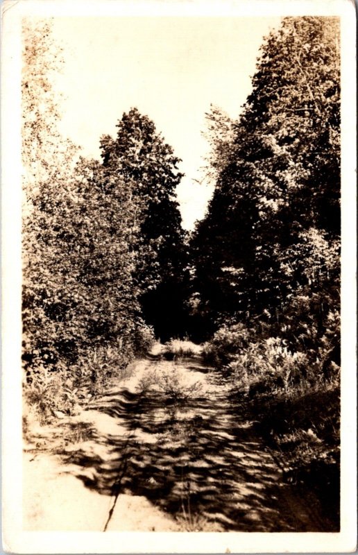 Real Photo Postcard Lake Louise Christian Community in Boyne Falls, Michigan 