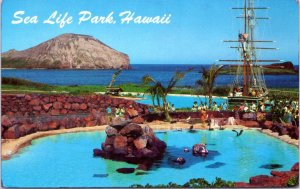 Postcard Hawaii Waimanailo - Sea Life Park Leeward Isles Pool