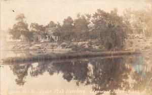 D29/ Glenwood Minnesota Mn Real Photo RPPC Postcard c1929 State Fish Hatchery