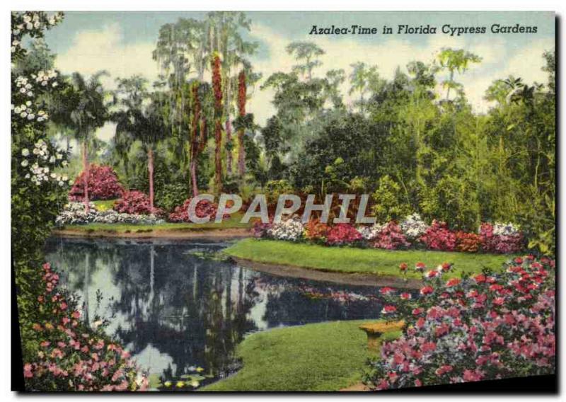 Old Postcard Azalea Time In Florida Cypress Gardens