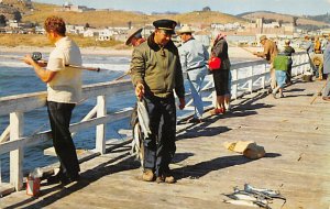 Pier Fishing at  A catch of jack smelt Pismo Beach, California USA View Images 