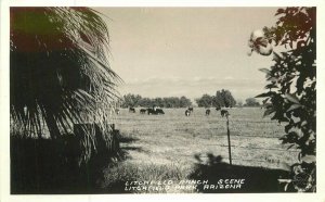 Frasher Litchfield Arizona Ranch Scene RPPC Photo Postcard 11729