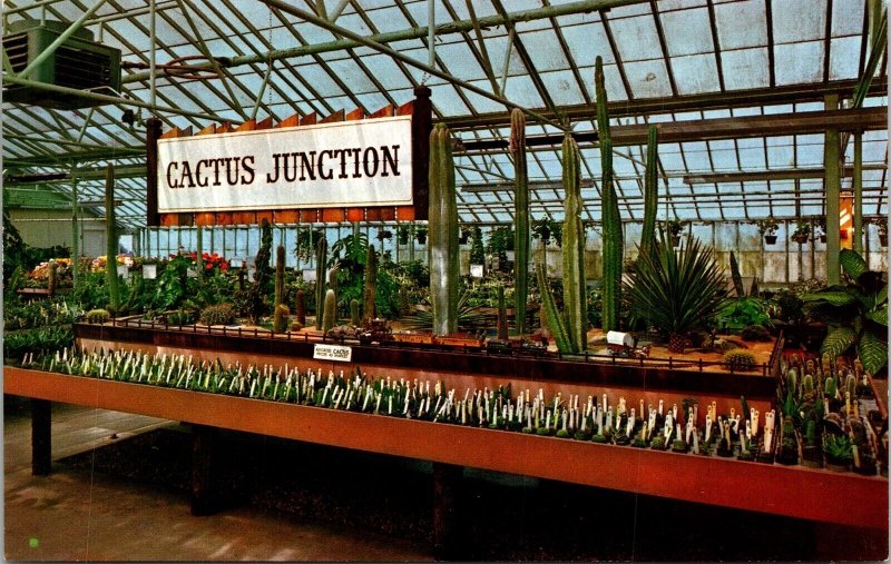 Cactus Junction Greenhouse Lexington Gardens Massachusetts Postcard Unused UNP 